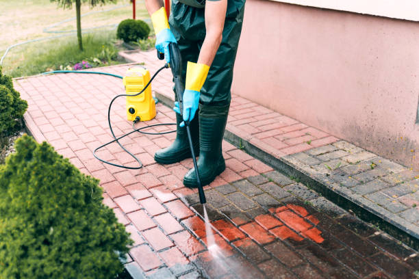 Best Gutter Cleaning and Brightening in Shawneeland, VA